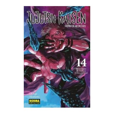 JUJUTSU KAISEN 14 NE