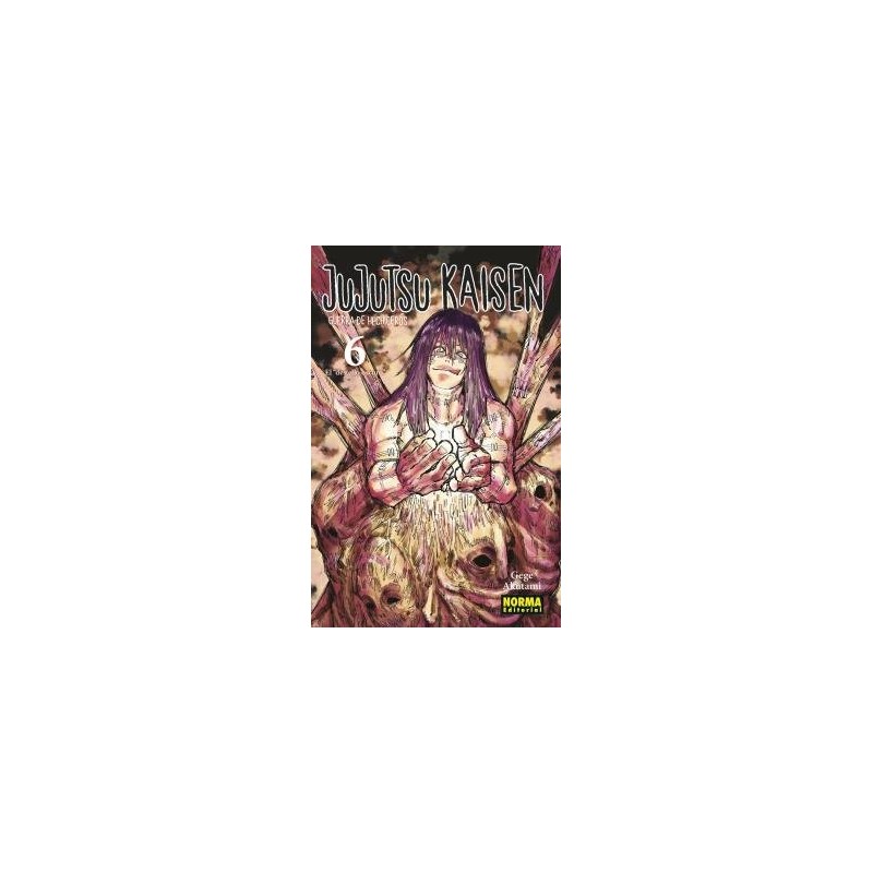 JUJUTSU KAISEN 6 NE