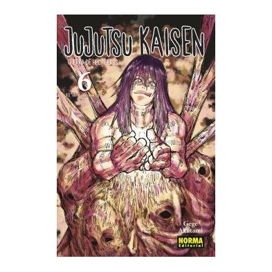 JUJUTSU KAISEN 6 NE