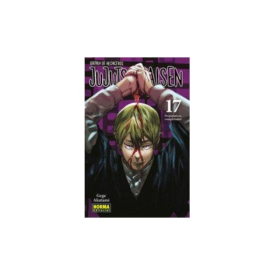 JUJUTSU KAISEN 17 NE