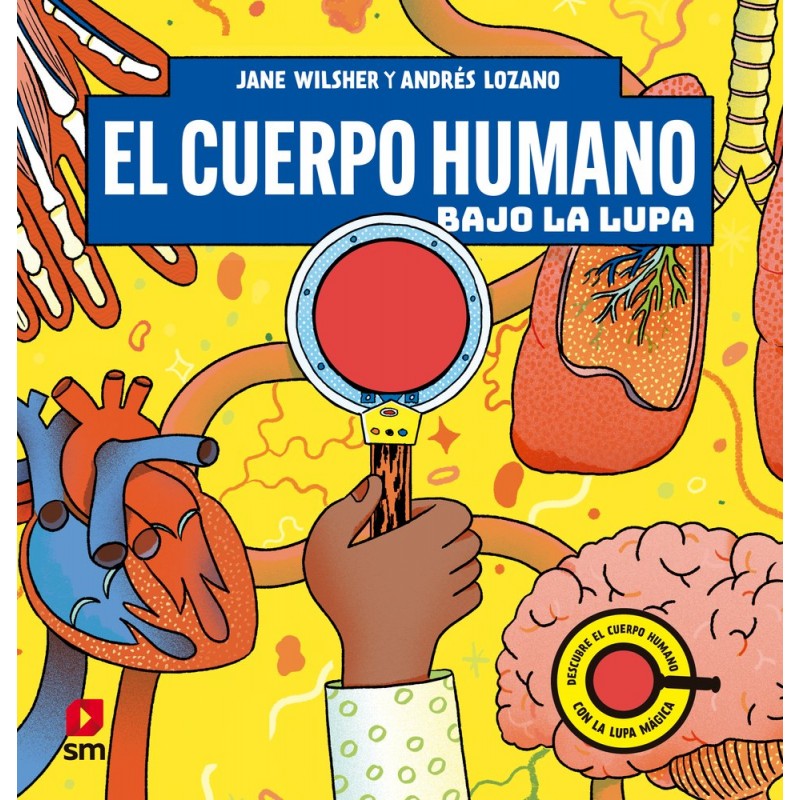 EL CUERPO HUMANO BAJO LA LUPA