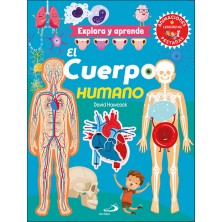 EL CUERPO HUMANO Explora y aprende