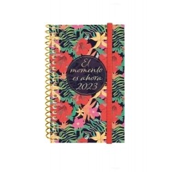 AGENDA ANUAL (2023) FINOCAM ESPIRAL DESIGN COLLECTION ESPIRAL tapa PP con GOMA E3 79x127 S/V APAIS. MOMENTO