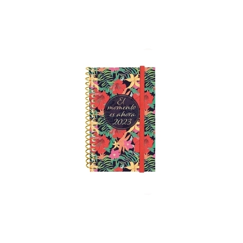 AGENDA ANUAL (2023) FINOCAM ESPIRAL DESIGN COLLECTION ESPIRAL tapa PP con GOMA E3 79x127 S/V APAIS. MOMENTO