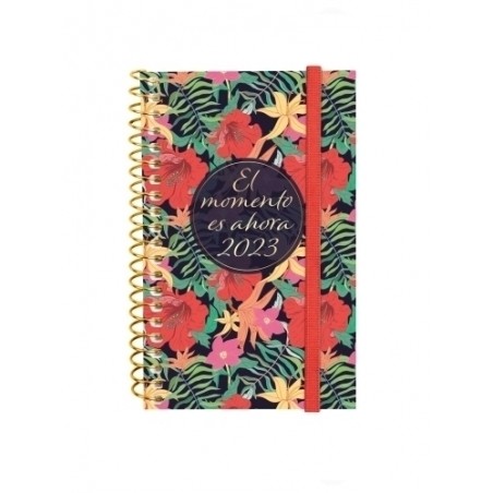 AGENDA ANUAL (2023) FINOCAM ESPIRAL DESIGN COLLECTION ESPIRAL tapa PP con GOMA E3 79x127 S/V APAIS. MOMENTO